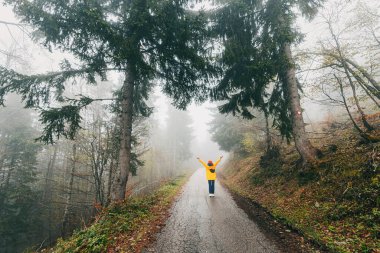 Sisli ormanda tek başına, genç bir kadın sisli bir yürüyüş yolunda yürüyor, ulusal parktaki sararmış ağaçların arasında sonbahar macerasını kucaklıyor..