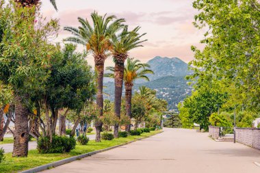 Karadağ 'ın Bar kentinde güneşli bir gökyüzünün altında güzel bir set.