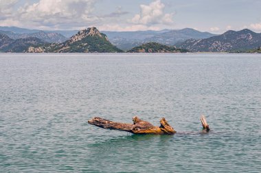 Arka planda dağlar olan güzel bir Skadar gölü manzarası. Karadağ 'ın tatil beldeleri