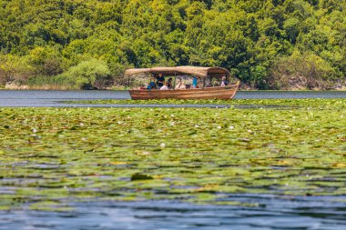 08 Mayıs 2024, Virpazar, Karadağ: Skadar Gölü 'nün el değmemiş sularını ve doğasını araştıran yaz gezisi.