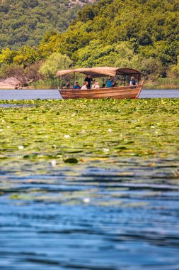 08 Mayıs 2024, Virpazar, Karadağ: Skadar Gölü 'nün el değmemiş sularını ve doğasını araştıran yaz gezisi.