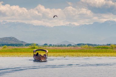 08 Mayıs 2024, Virpazar, Karadağ: Skadar Gölü 'nün el değmemiş sularını ve doğasını araştıran yaz gezisi.