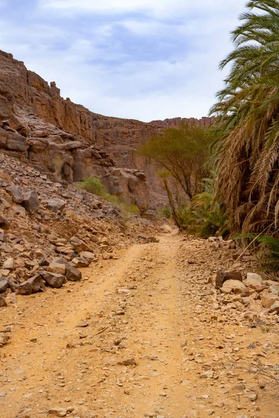 Oued Aharhar Gorge Dirt Road Rocks Tadrart Mountains Aharghar Canyon — Stock Photo, Image