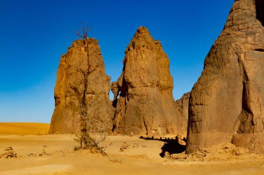 Djanet yakınlarında ağlayan bir ineğin (La Vache Qui Pleure) ünlü kaya oyması ile inanılmaz bir kaya oluşumu. Tassili nAjjer Ulusal Parkı, Cezayir, Afrika