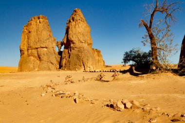 Djanet yakınlarında ağlayan bir ineğin (La Vache Qui Pleure) ünlü kaya oyması ile inanılmaz bir kaya oluşumu. Tassili nAjjer Ulusal Parkı, Cezayir, Afrika