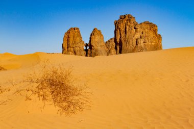 Djanet yakınlarında ağlayan bir ineğin (La Vache Qui Pleure) ünlü kaya oyması ile inanılmaz bir kaya oluşumu. Tassili nAjjer Ulusal Parkı, Cezayir, Afrika