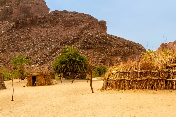 Tuareg Village Huts Outbuildings Built Traditional Way Reed Oued Aharhar — Stock Photo, Image
