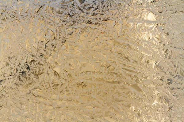 Close Textured Embossed Glass Vegetal Pattern Background — Stock Photo, Image