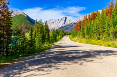 Banff ve Kanada 'nın Rocky Dağı' ndaki Jasper Ulusal Parkları 'ndaki buzul tarlaları (93. yol) muhteşem bir yol. Alberta, Kanada