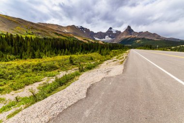 Banff ve Kanada 'nın Rocky Dağı' ndaki Jasper Ulusal Parkları 'ndaki buzul tarlaları (93. yol) muhteşem bir yol. Alberta, Kanada
