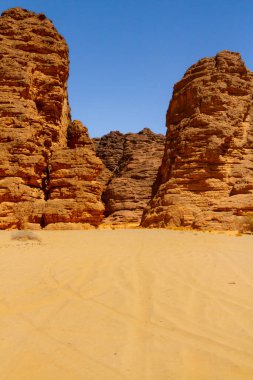 Taş Ormanı. Kum taşı ve kayalık oluşumları hayret verici şekillerde. Tadrart Dağları. Nehir yaylası, Tassili N 'Ajjer Ulusal Parkı. Cezayir, Afrika