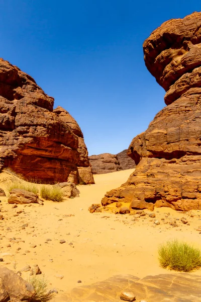 一个砂岩和悬崖形成了惊人的形状 Tadrart山 Tassili Ajjer国家公园 河流高原 阿尔及利亚 — 图库照片