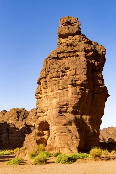 Deserto Saara Floresta Pedra Uma Pedra Arenito Forma Incrível Montanhas — Fotografia de Stock