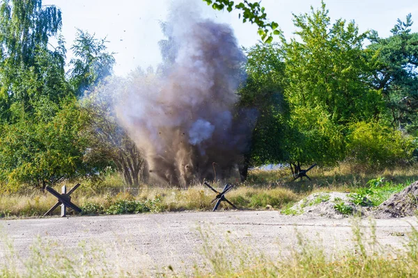 Contextul Bomba Explodează Între Copaci Reconstrucția Bătăliei Din Doilea Război — Fotografie, imagine de stoc