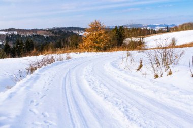Kış manzarası. Karlı kırsal yol. Polonya