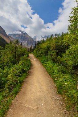 Altı Buzul Ovası 'na yürüyüş yolu. Dağlarda dar bir yol. Rocky Dağları. Banff Ulusal Parkı, Alberta, Kanada