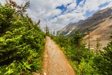 Altı Buzul Ovası 'na yürüyüş yolu. Dağlarda dar bir yol. Rocky Dağları. Banff Ulusal Parkı, Alberta, Kanada