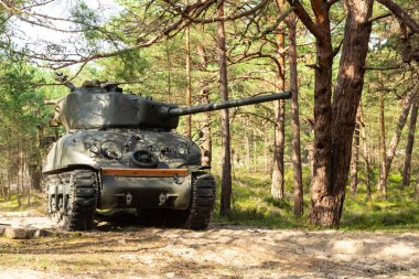 Amerikan 2. Dünya Savaşı Sherman tankı ormanda.