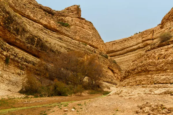 Θεαματικό Φαράγγι Της Ερήμου Στο Βουνό Άτλας Mides Τυνησία Αφρική Εικόνα Αρχείου