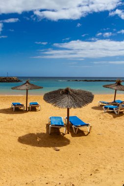 Saman şemsiyeleri ve mavi güneş şezlongunun olduğu boş bir sahil. Playa del Castillo Caleta de Fuste, Fuerteventura, Kanarya Adaları, İspanya,