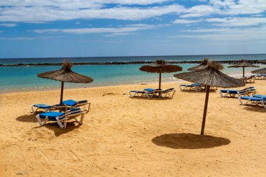 Saman şemsiyeleri ve mavi güneş şezlongunun olduğu boş bir sahil. Playa del Castillo Caleta de Fuste, Fuerteventura, Kanarya Adaları, İspanya,