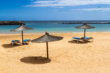 Saman şemsiyeleri ve mavi güneş şezlongunun olduğu boş bir sahil. Playa del Castillo Caleta de Fuste, Fuerteventura, Kanarya Adaları, İspanya,