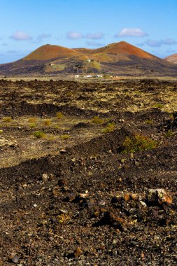 Montana Colorada 'da iz sürüyorum. 