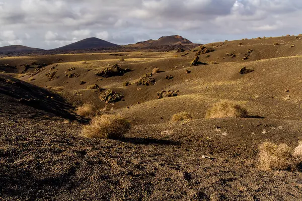 Wanderweg Den Vulkan Cuervo Malpais Unfruchtbares Und Steiniges Lavafeld Vulkan Stockfoto