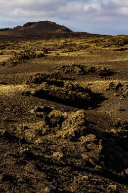 Montana Colorada 'da iz sürüyorum. 