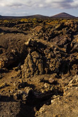 Montana Colorada 'da iz sürüyorum. 