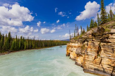 Turkuaz sular Athabasca Nehri ve Athabasca Şelalesi, Jasper Ulusal Parkı, Alberta, Kanada