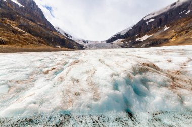 Rocky Dağları 'nın manzarası. Buz sahası ve Athabasca buzulu. Jasper Ulusal Parkı, Columbia Buz Tarlaları, Alberta, Kanada