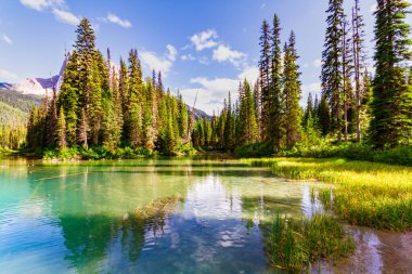 Rocky Dağları 'nın manzarası. Güzel Zümrüt Göl. Yoho Ulusal Parkı, İngiliz Kolombiyası, Kanada
