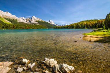 Rocky Dağları 'nın manzarası. Güzel gök mavisi Maligne Gölü. Jasper Ulusal Parkı, Alberta, Kanada