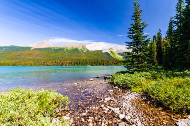 Rocky Dağları 'nın manzarası. Güzel gök mavisi Maligne Gölü. Jasper Ulusal Parkı, Alberta, Kanada