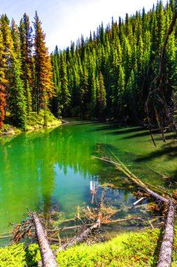 Rocky Dağları. Güzel Moose Gölü manzarası. Jasper Ulusal Parkı, Alberta, Kanada, Kuzey Amerika