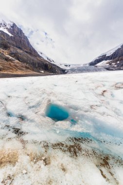 Rocky Dağları 'nın manzarası. Athabasca buzulu. Jasper Ulusal Parkı, Columbia Buz Tarlaları, Alberta, Kanada