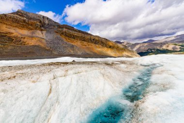 Rocky Dağları 'nın manzarası. Athabasca buzulu. Jasper Ulusal Parkı, Columbia Buz Tarlaları, Alberta, Kanada