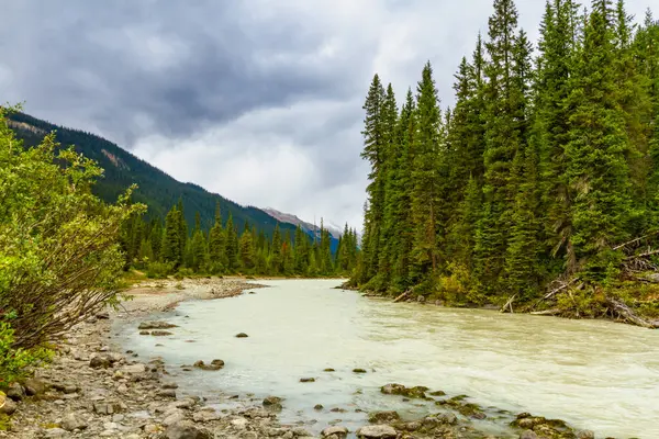 Stock image Canadian landscape. Kicking Horse River near Takakkaw Falls. Yoho National Park,  Field, British Columbia, Canada.