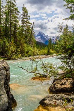 Takakkaw şelalesinden beslenen küçük bir dere. Field yakınlarındaki Yoho Ulusal Parkı. British Columbia, Kanada.