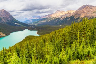 Rocky Dağları 'nın manzarası. Muhteşem turkuaz Peyto Gölü. Banff Ulusal Parkı, Alberta, Kanada