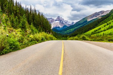 Yoho Vadisi Yolu. Field ve Takakkaw Şelaleleri arasındaki mevsimlik yol. Yoho Ulusal Parkı, Field, British Columbia, Kanada.