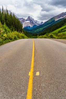 Yoho Vadisi Yolu. Field ve Takakkaw Şelaleleri arasındaki mevsimlik yol. Yoho Ulusal Parkı, Field, British Columbia, Kanada.