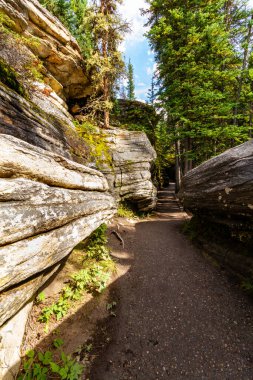 Athabasca Şelalesi 'nde yürüyüş parkurunda. Krep Kum Taşları arasındaki yol. Athabasca Vadisi, Jasper Ulusal Parkı, Alberta, Kanada.