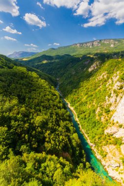 Tara Nehri Kanyonu, Karadağ 'ın en uzun kanyonu ve Avrupa' nın en derin nehir kanyonu olarak da bilinir. Dumitor Ulusal Parkı, Karadağ. Balkanlar