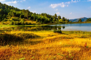 Resimli bir yaz manzarası. Bereketli bitki örtüsüyle çevrili küçük bir dağ gölü. Korca bölgesi, Arnavutluk