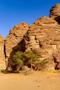 İnanılmaz kızıl kaya oluşumlarının bir görüntüsü. Essendilene Kanyonu, Tadrart Dağları. Tassili N 'Ajjer Ulusal Parkı, Sahra Çölü, Djanet, Cezayir, Afrika