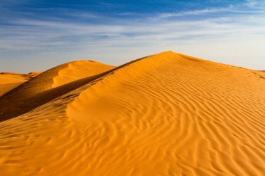 Geçmişi. Sahra Çölü. Ksar Ghilane, Tunus, Afrika vahası yakınlarındaki Grand Erg Oriental kum tepeleri