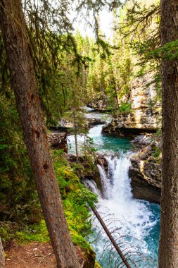 Rocky Dağları 'nda yürüyüş parkurunda. Johnston Kanyonu 'ndaki Bow Nehri, Banff Ulusal Parkı, Alberta, Kanada