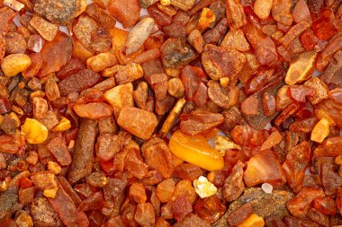 Kapatın. Arka plan, doku. Turuncu, kahverengi ve sarı doğal, ham kehribar taşları Baltık Denizi 'nin Polonya maliyetinde bulundu. 